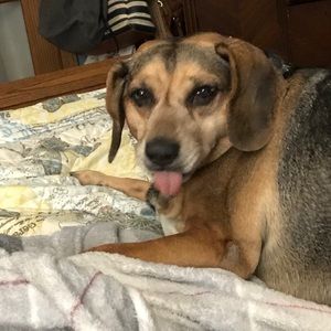 Meet your Posher, Beverley